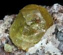 Lustrous Apatite Crystal In Matrix - Durango, Mexico #33849-1